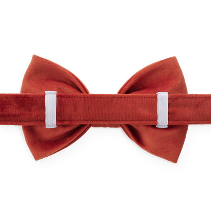 Football Embroidered Dog Bow Tie