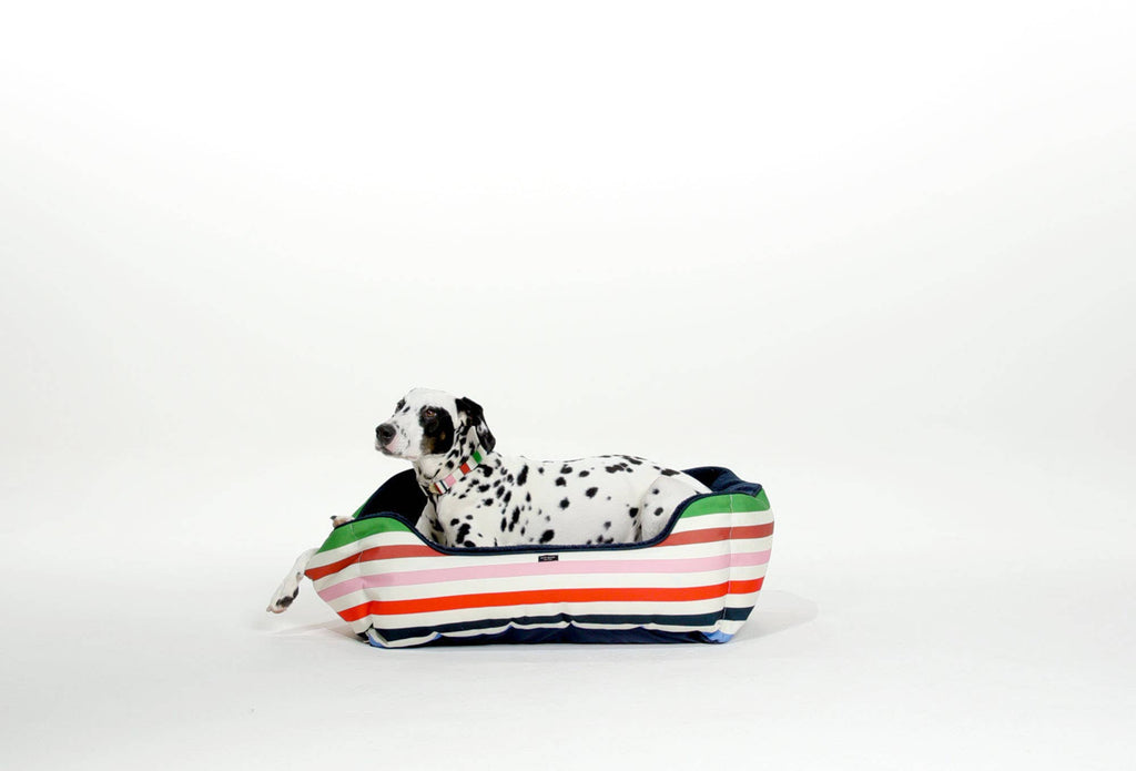 Kate Spade Adventure Stripe Dog Bed