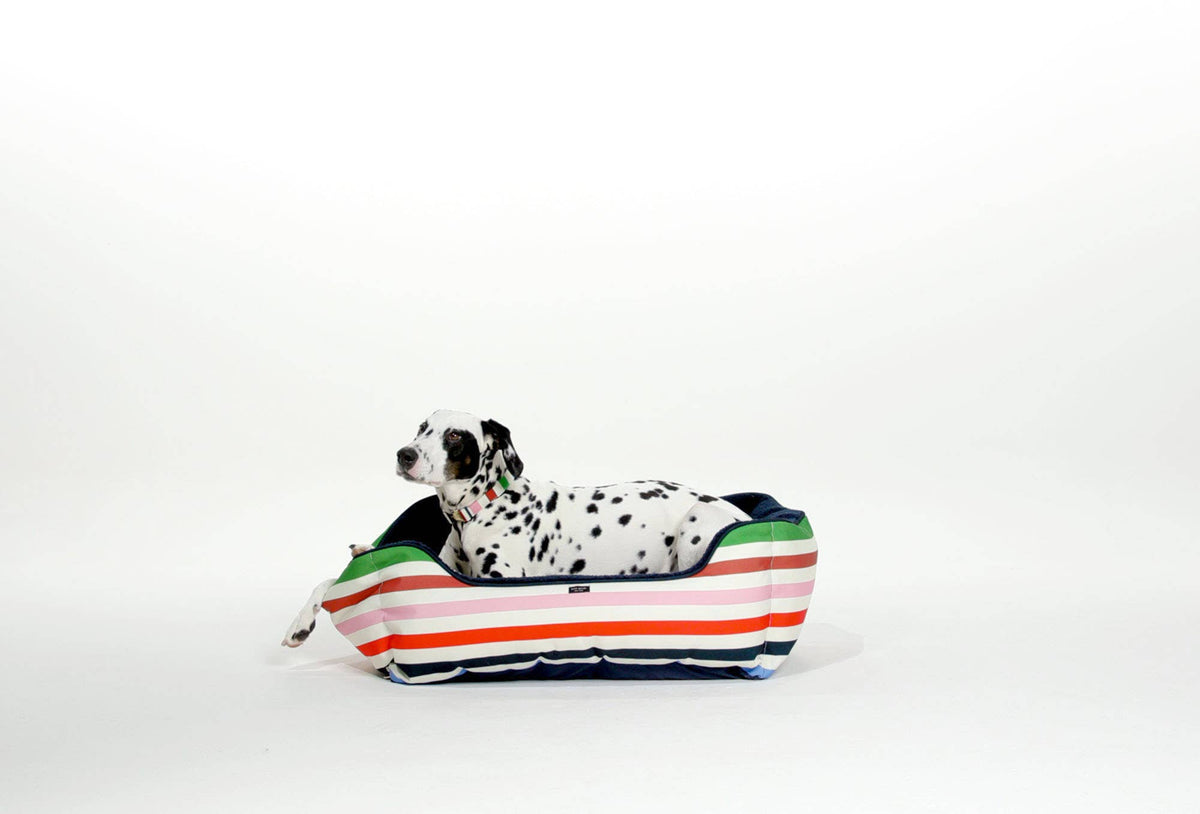 Kate Spade Adventure Stripe Dog Bed