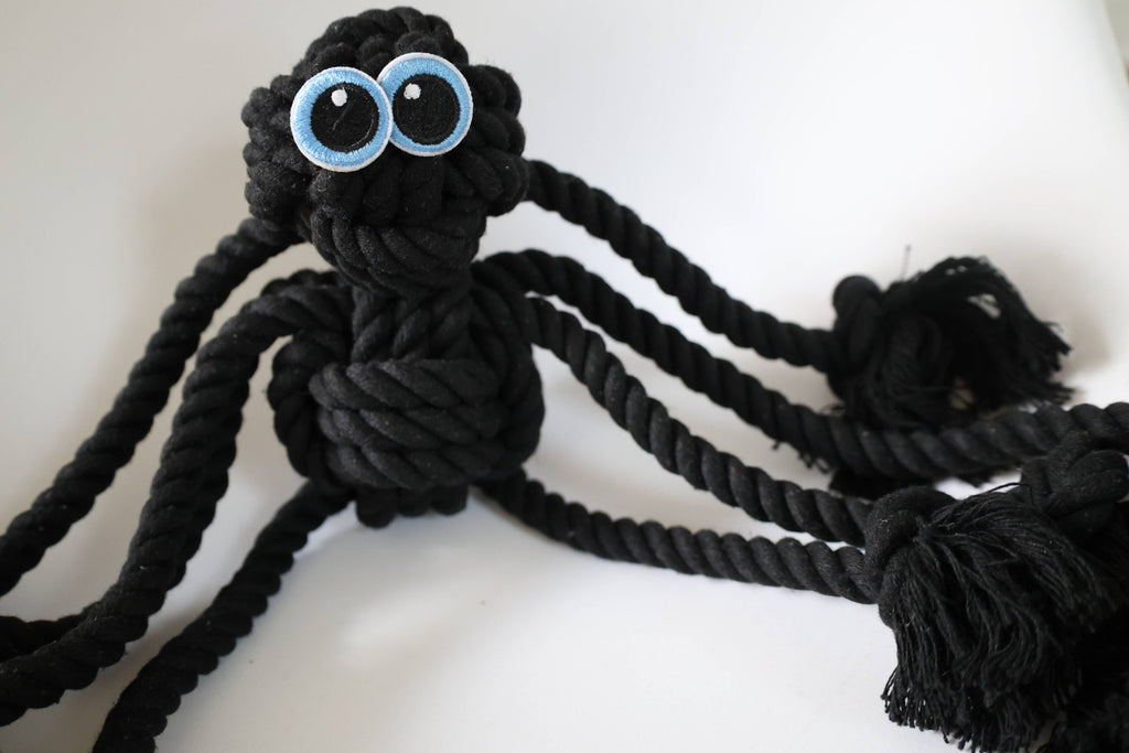 Black Spider Rope Dog Toy
