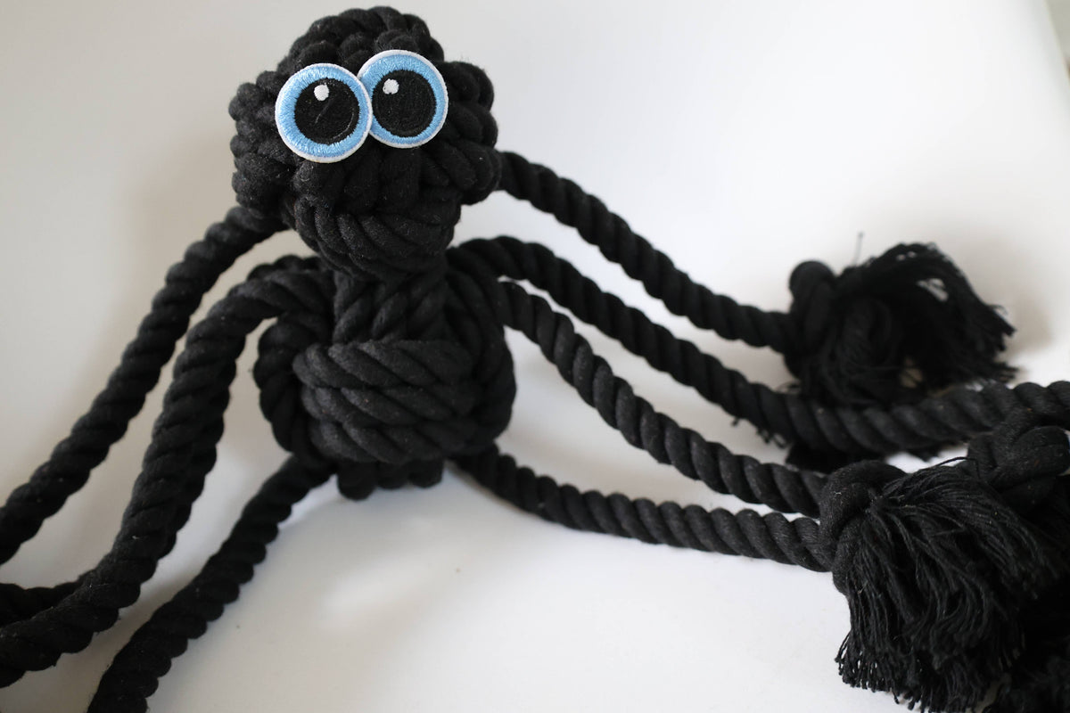 Black Spider Rope Dog Toy