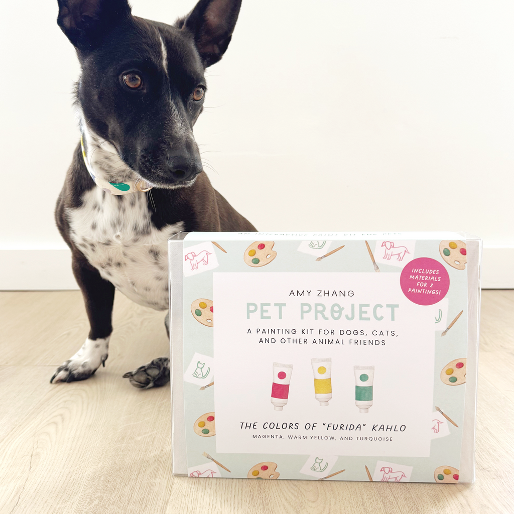PET PROJECT FRIDA — Paint Activity Kit For Dogs and Cats