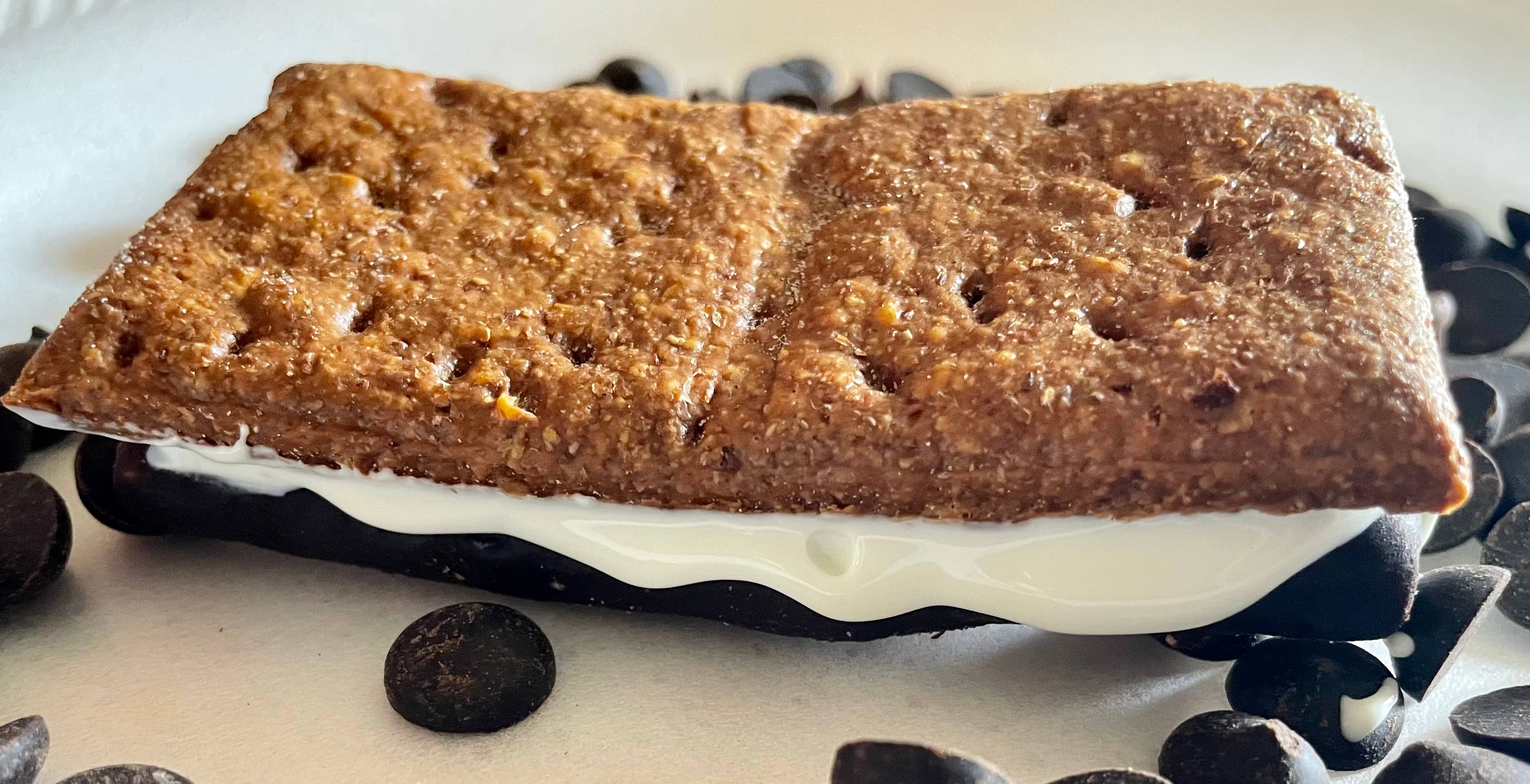 Campfire S’mores dog treats