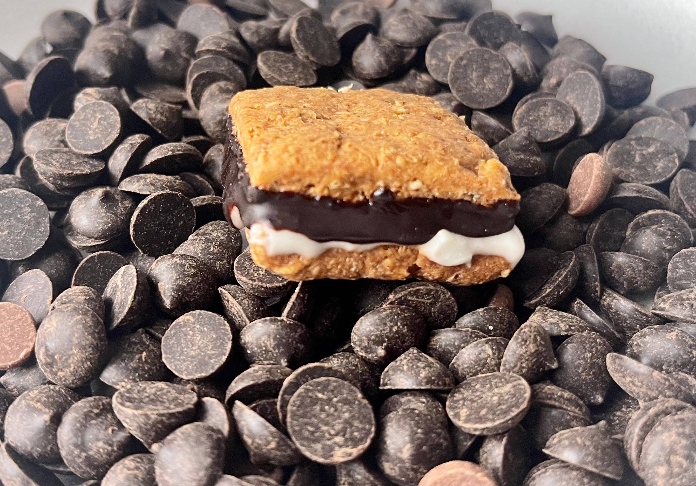 Campfire S’mores dog treats