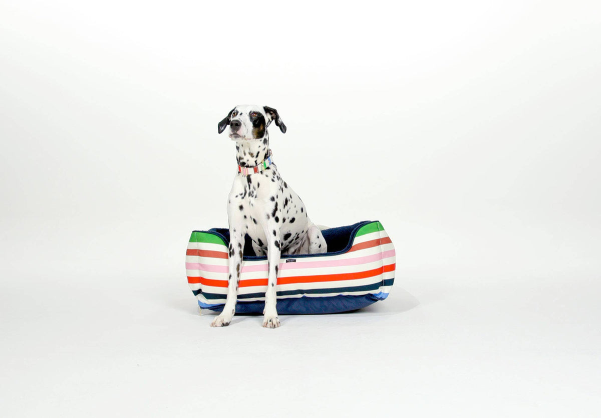 Kate Spade Adventure Stripe Dog Bed