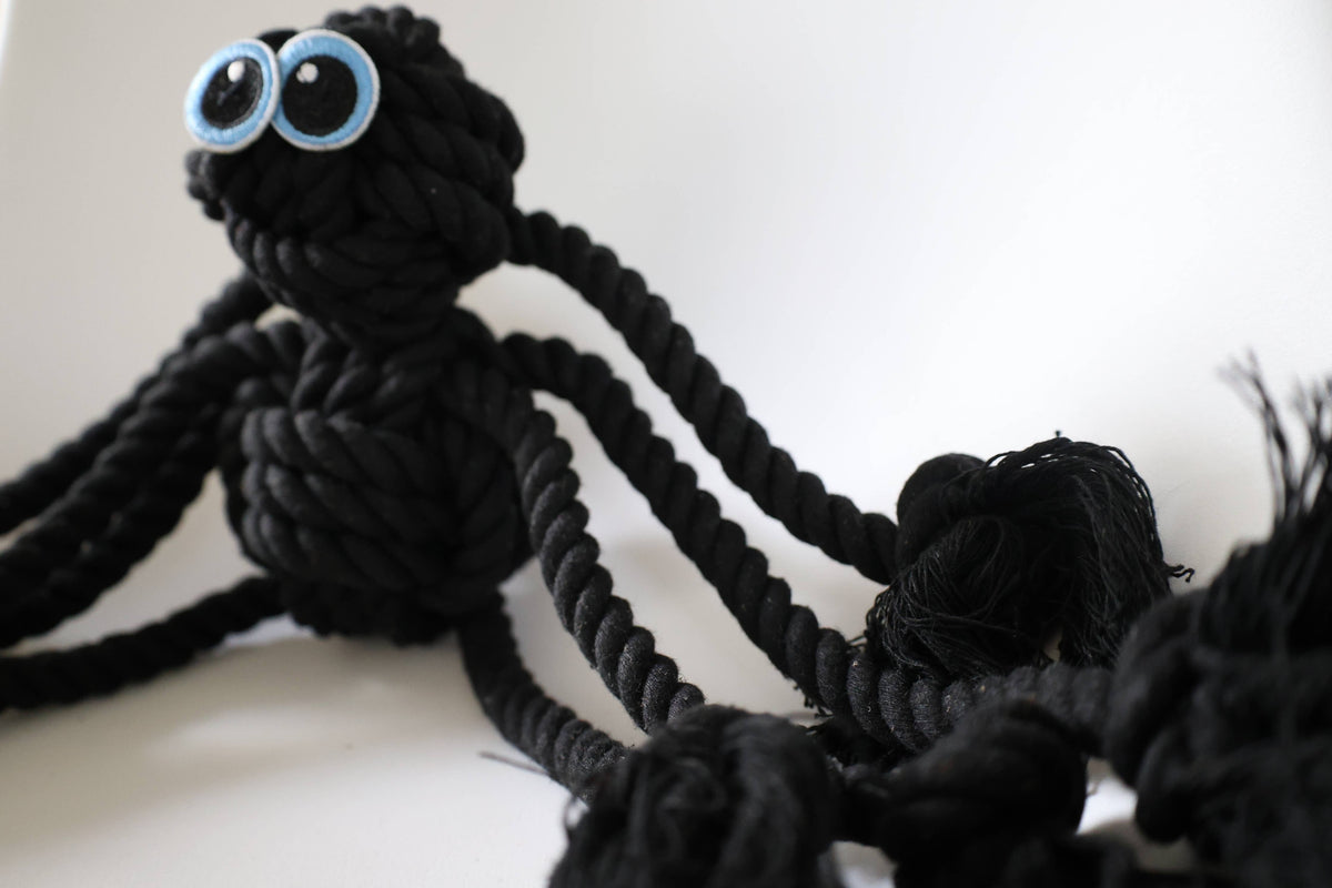 Black Spider Rope Dog Toy
