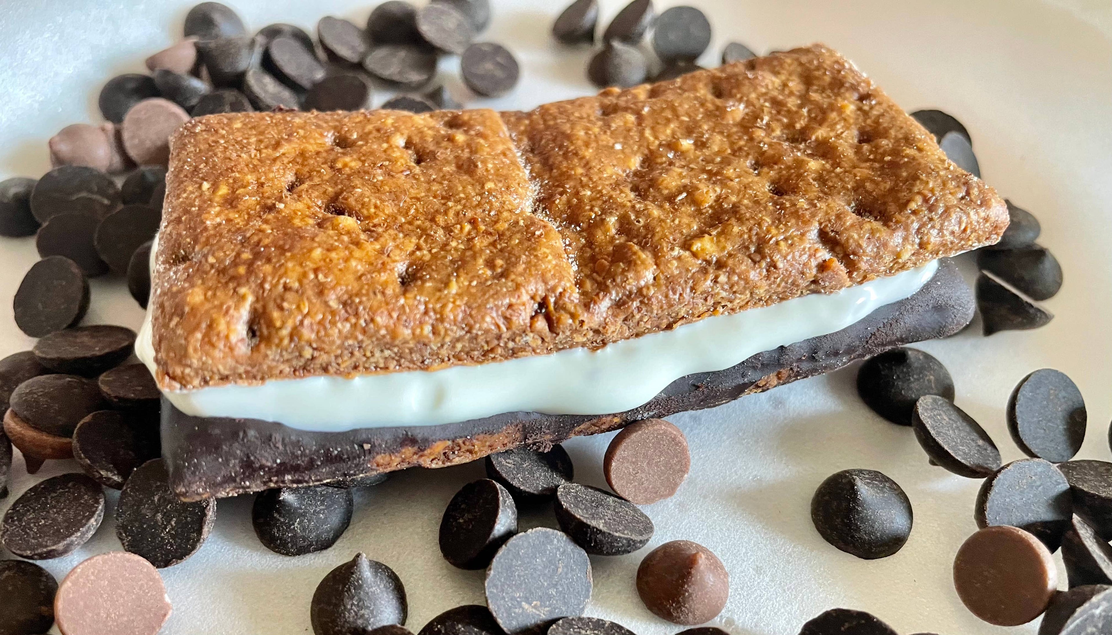 Campfire S’mores dog treats