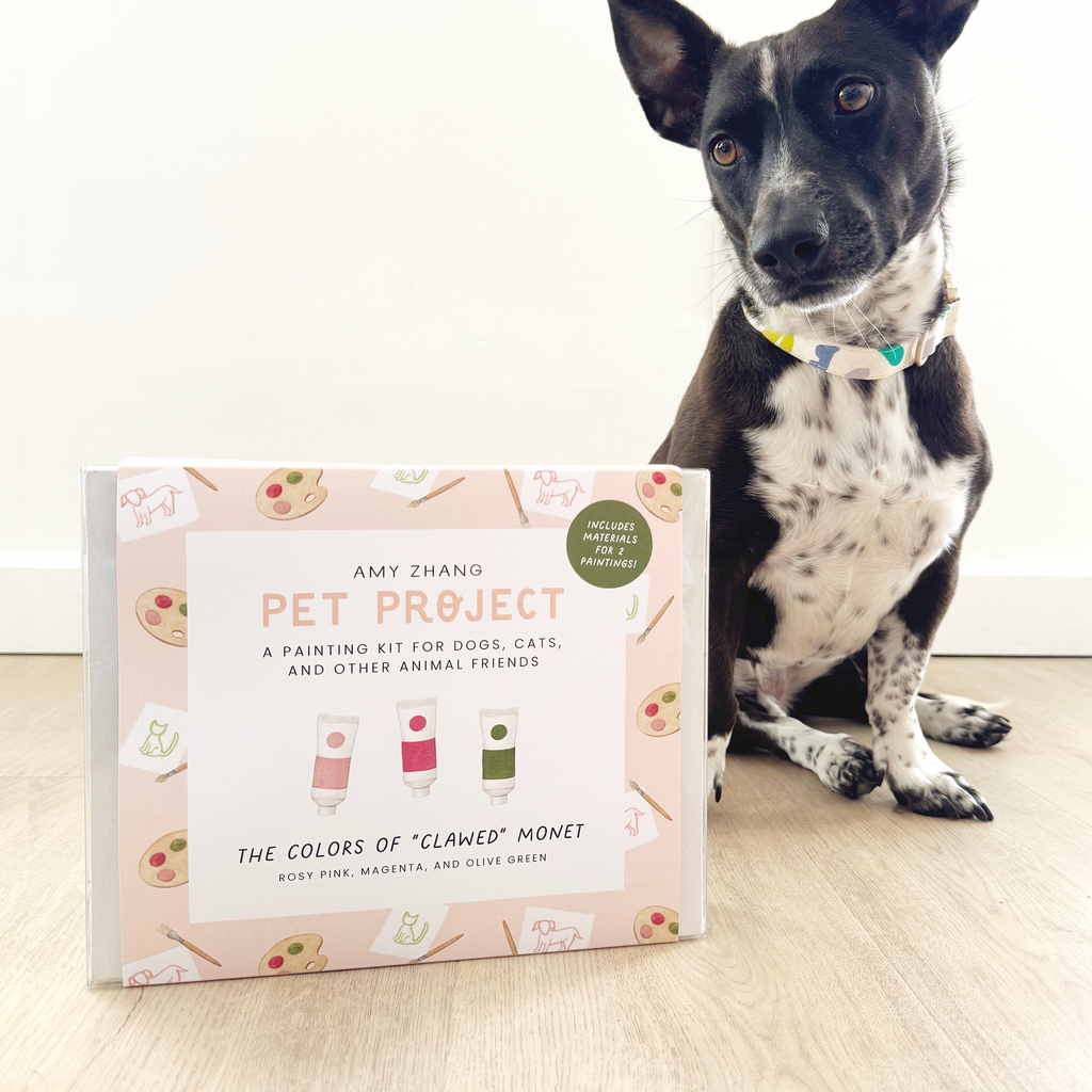 PET PROJECT MONET — Paint Activity Kit For Dogs and Cats