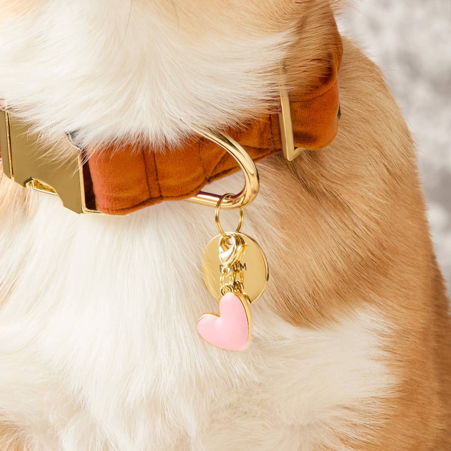 Pink Heart Collar Charm