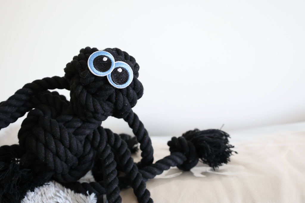 Black Spider Rope Dog Toy