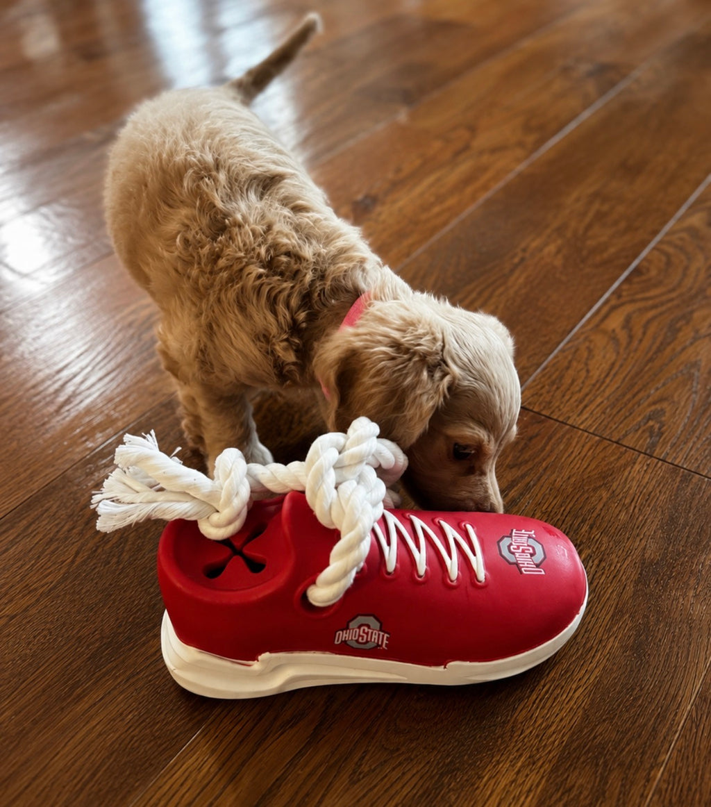 Ohio State Buckeyes Sneaker Rope Toy