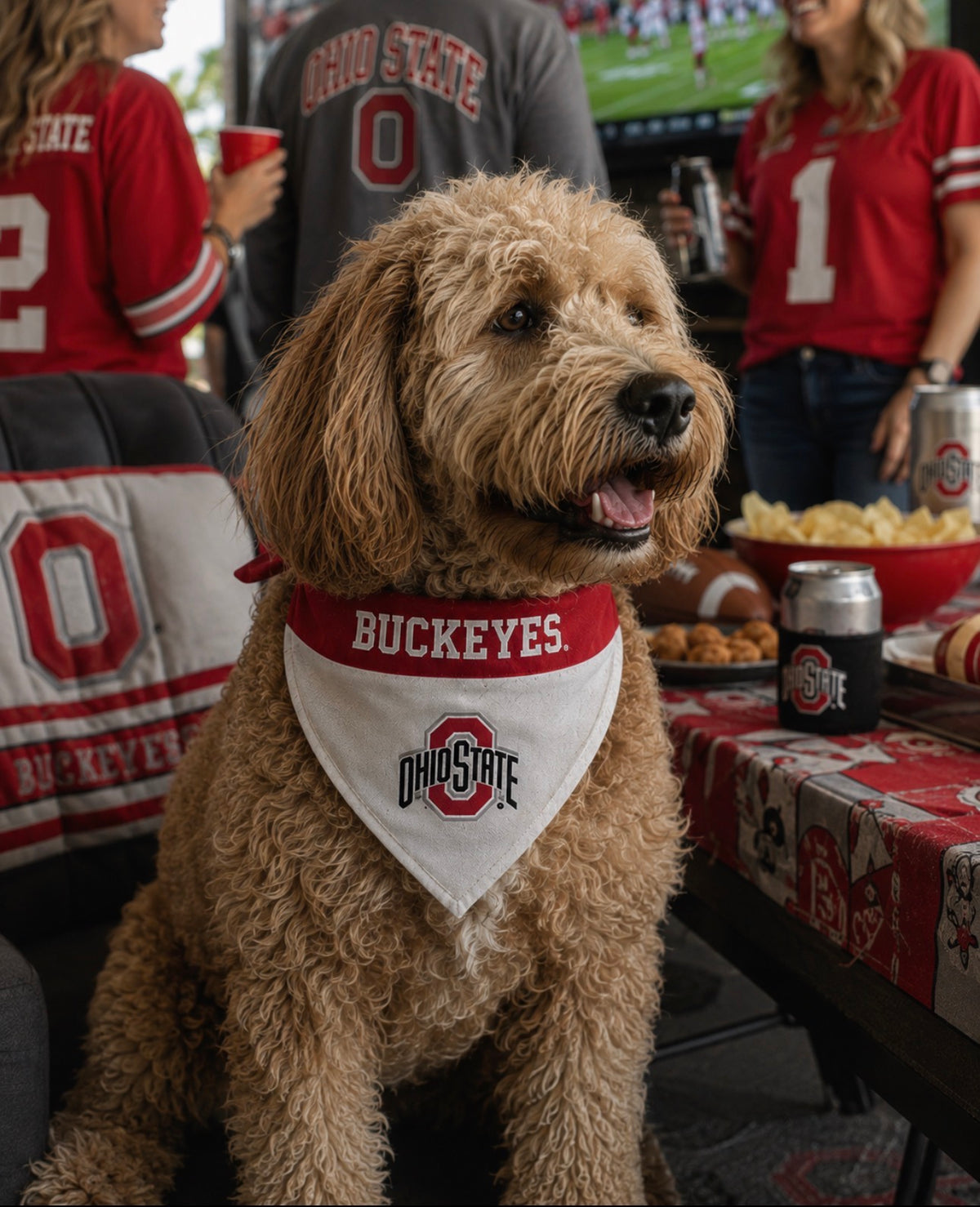 OHIO STATE REVERSIBLE DOG BANDANA