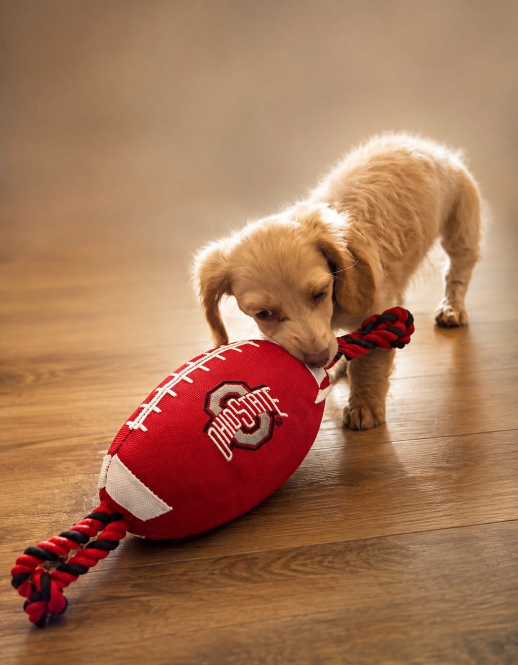 OHIO STATE NYLON FOOTBALL