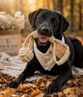 Hemp and Sustainable Cotton Rope Tug Dog Toy | Monkey Fist