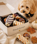 Halloween Candy Dog Treats  3-Piece Treat Set