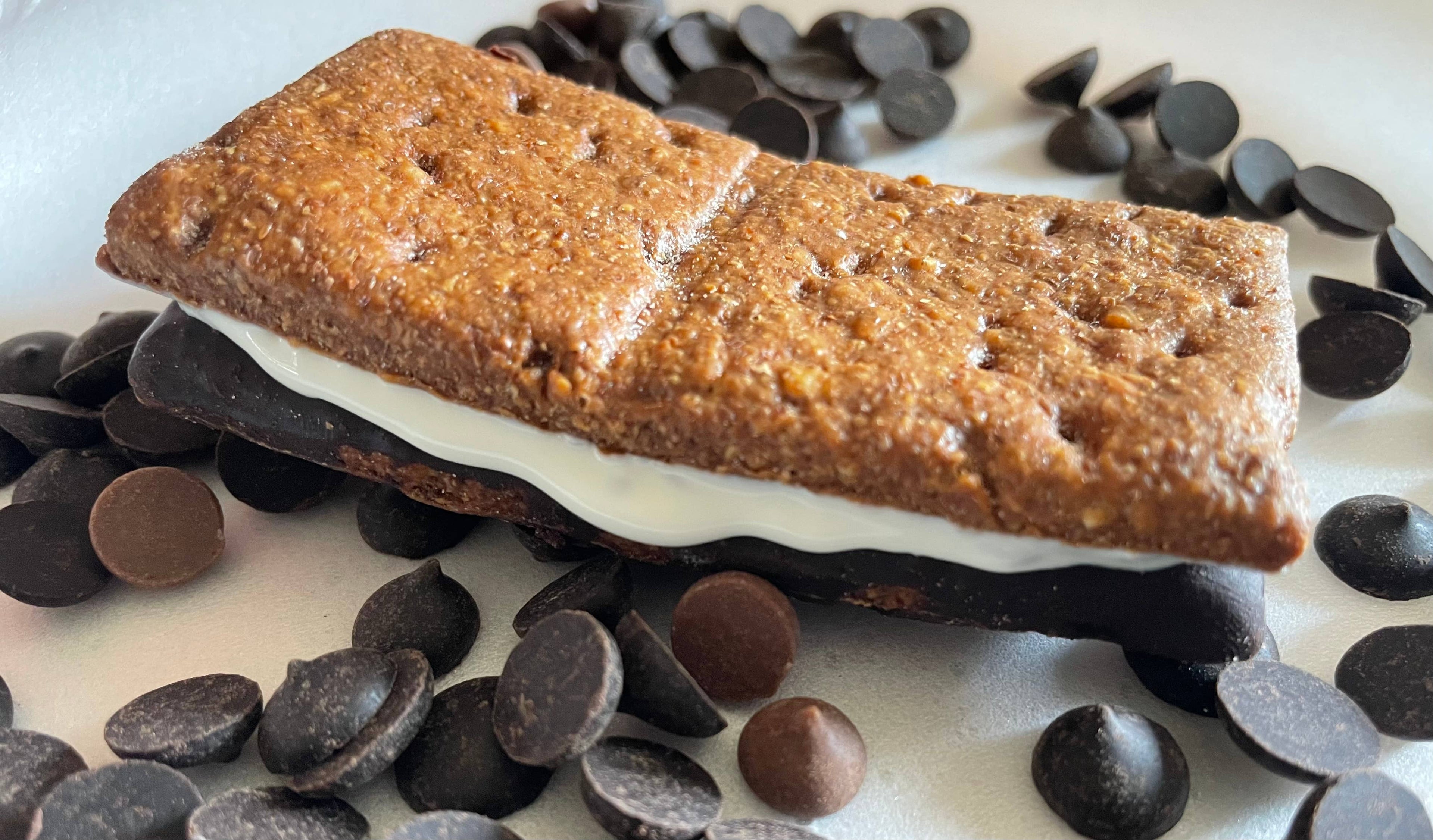Campfire S’mores dog treats