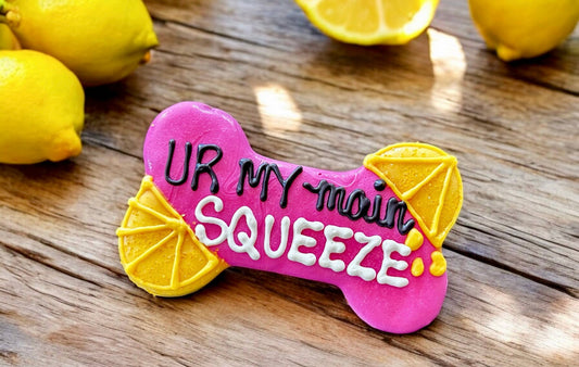 6 inch UR my main Squeeze bone dog treats