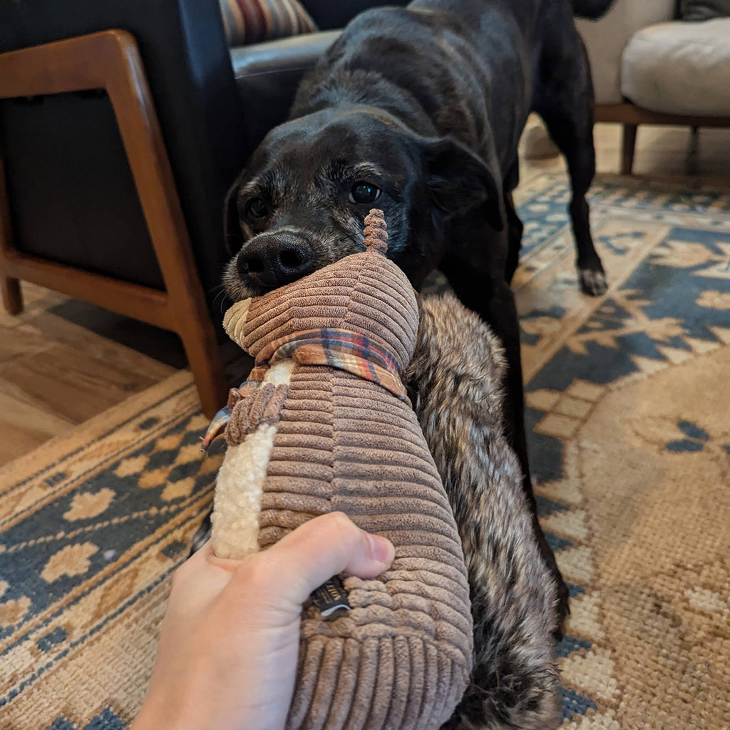 Pendleton Plush Squirrel Dog Toy