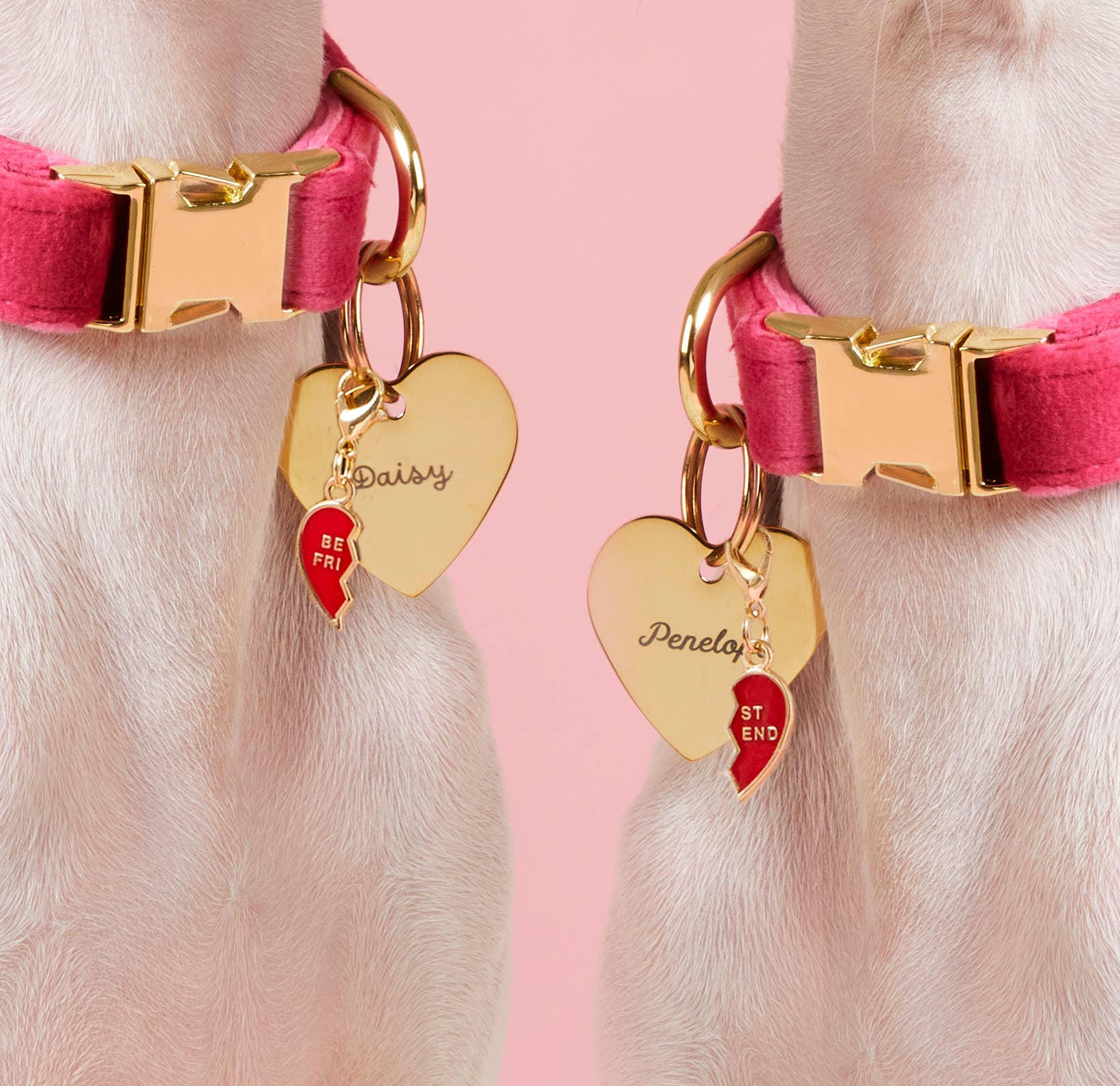 BFF Heart Collar Charm Set